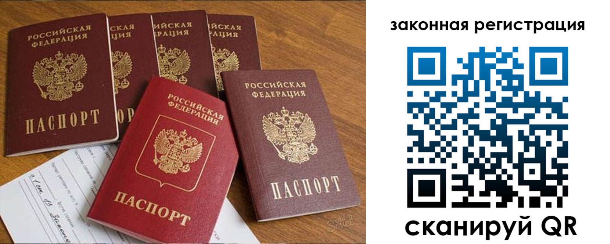прописка в Луге