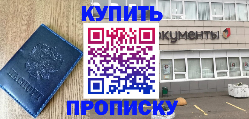 временная регистрация поиск в Луге